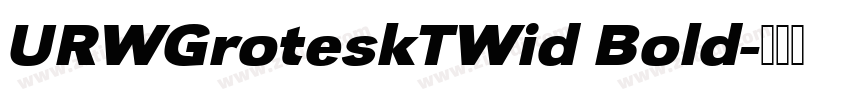 URWGroteskTWid Bold字体转换